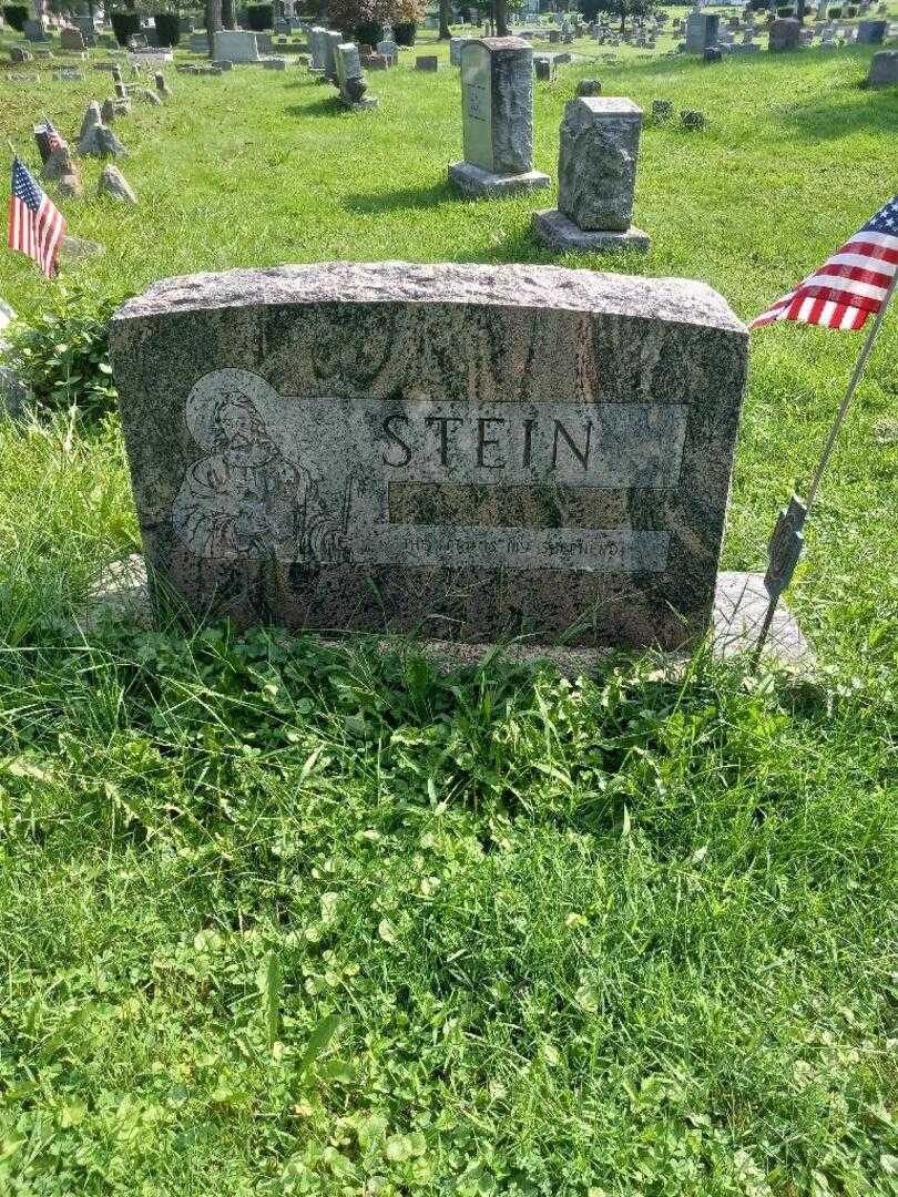 Louise M. Stein's grave. Photo 4