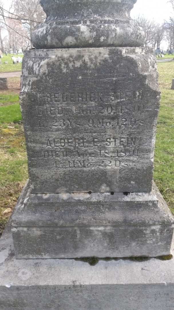 Frederick Stein's grave. Photo 3