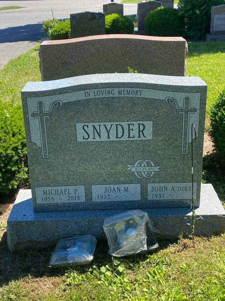Michael P. Snyder's grave. Photo 3
