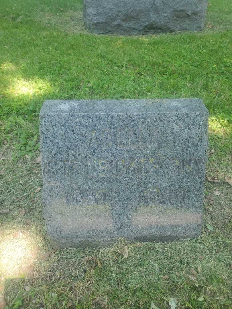 Adella M. Steinbicker Shy's grave. Photo 3