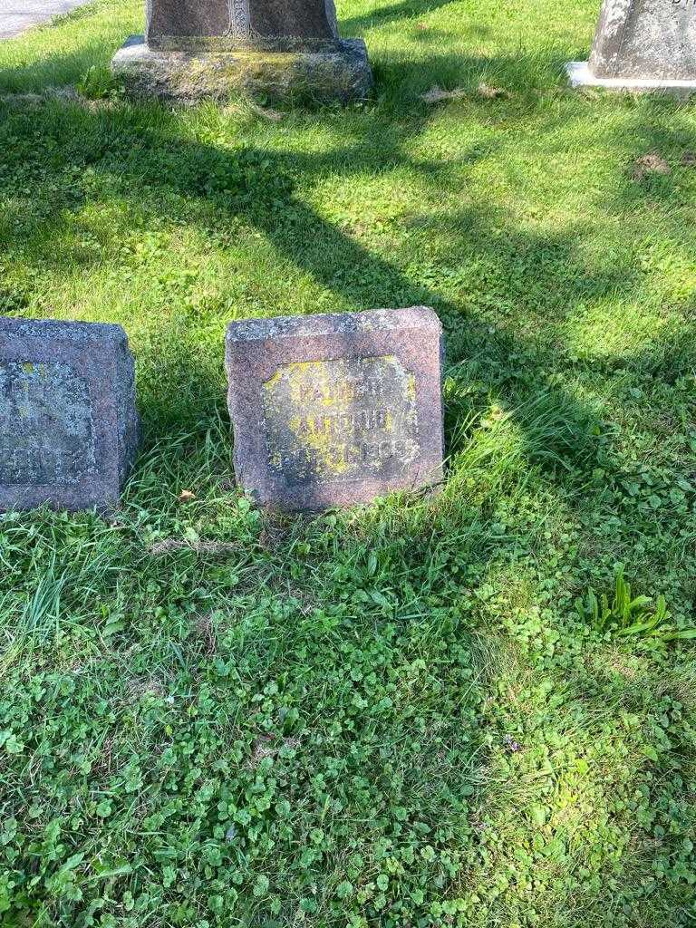 Antonio Pappacena's grave. Photo 2