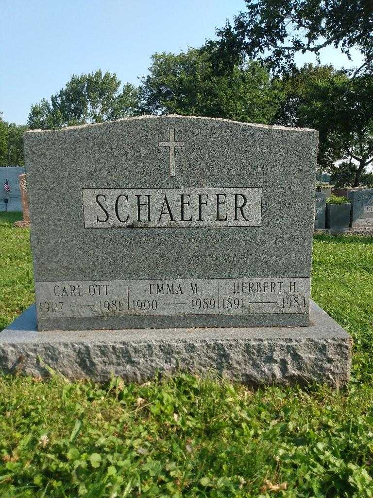 Carl Ott Schaefer's grave. Photo 2