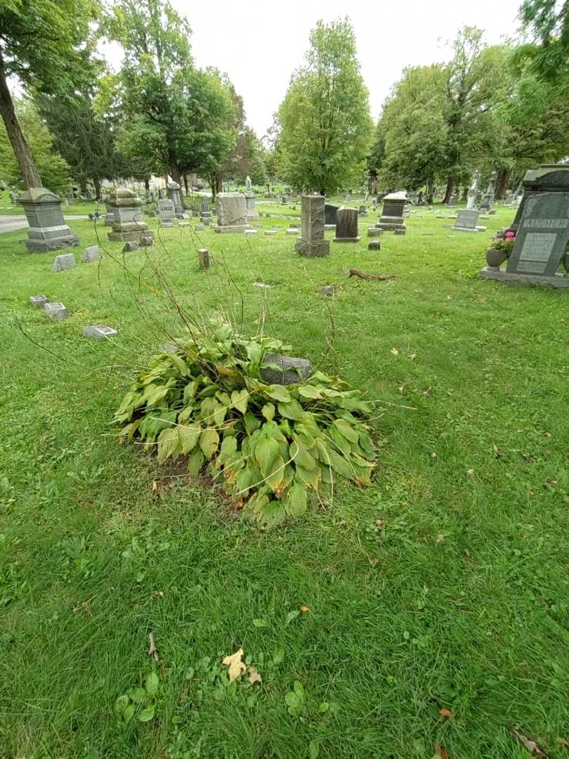 William J. Grover's grave. Photo 1