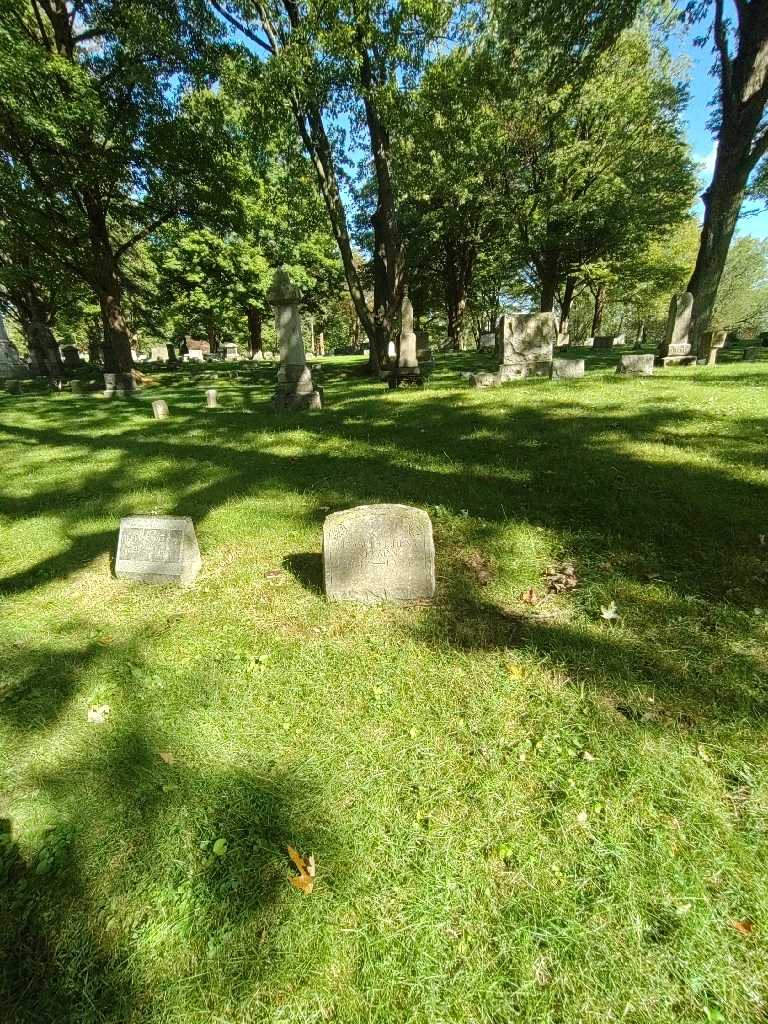 Elizabeth F Henry Nelson's grave. Photo 1