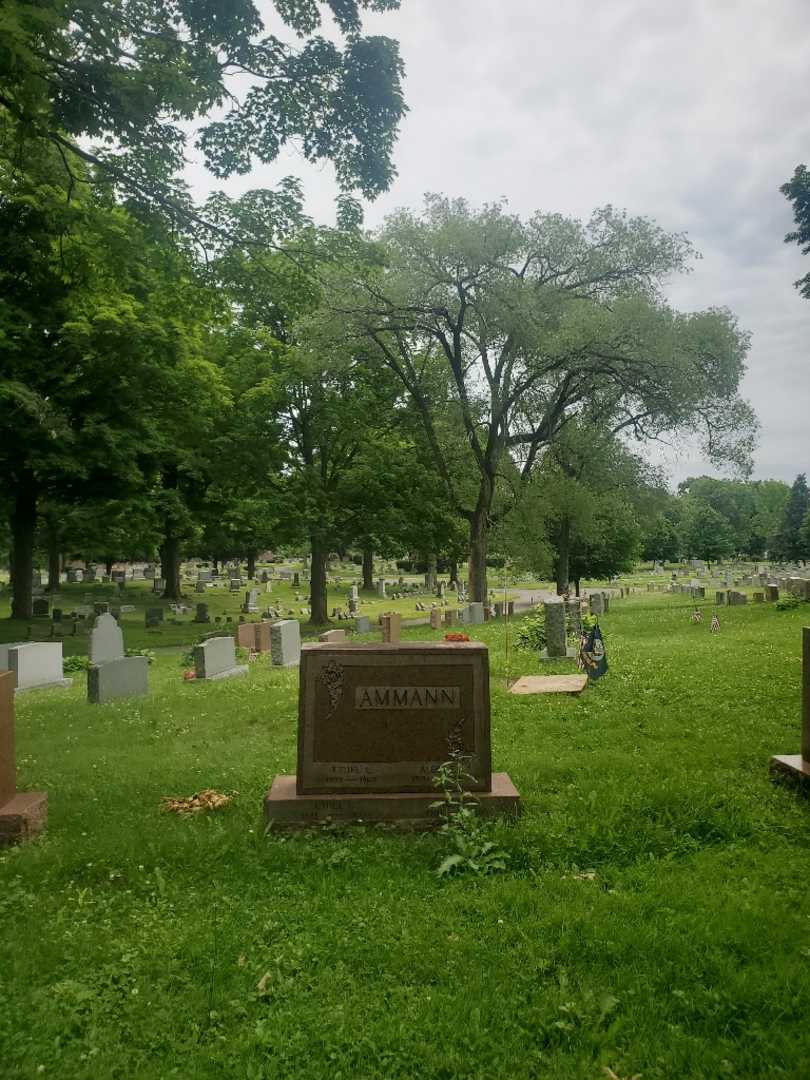 Alois E. Ammann's grave. Photo 2