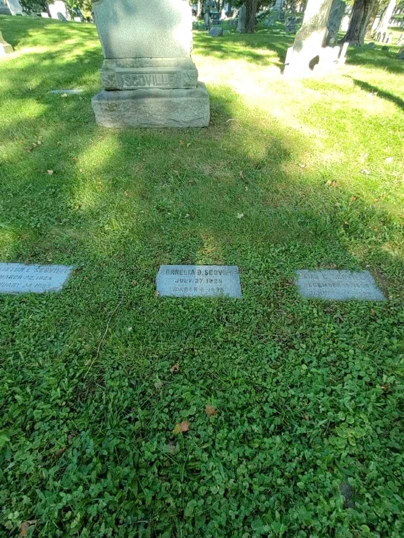 Cornelia D. Scoville's grave. Photo 1