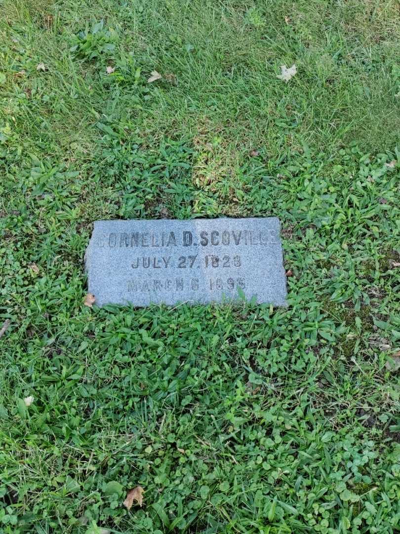 Cornelia D. Scoville's grave. Photo 2