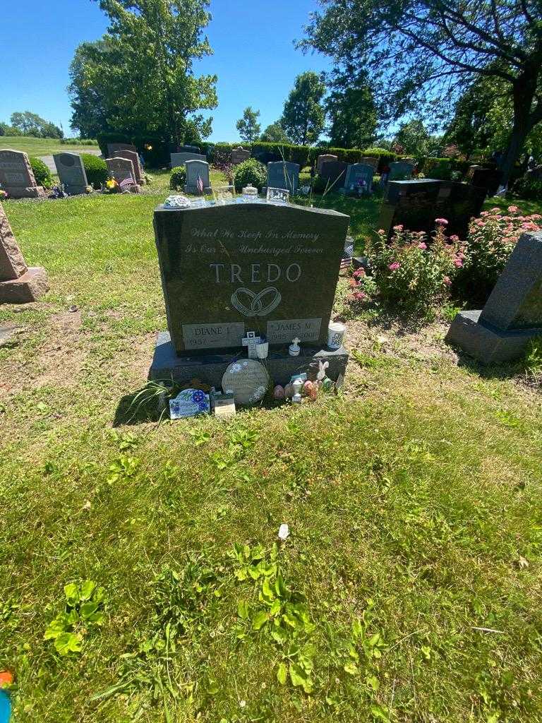 James M. Tredo's grave. Photo 1