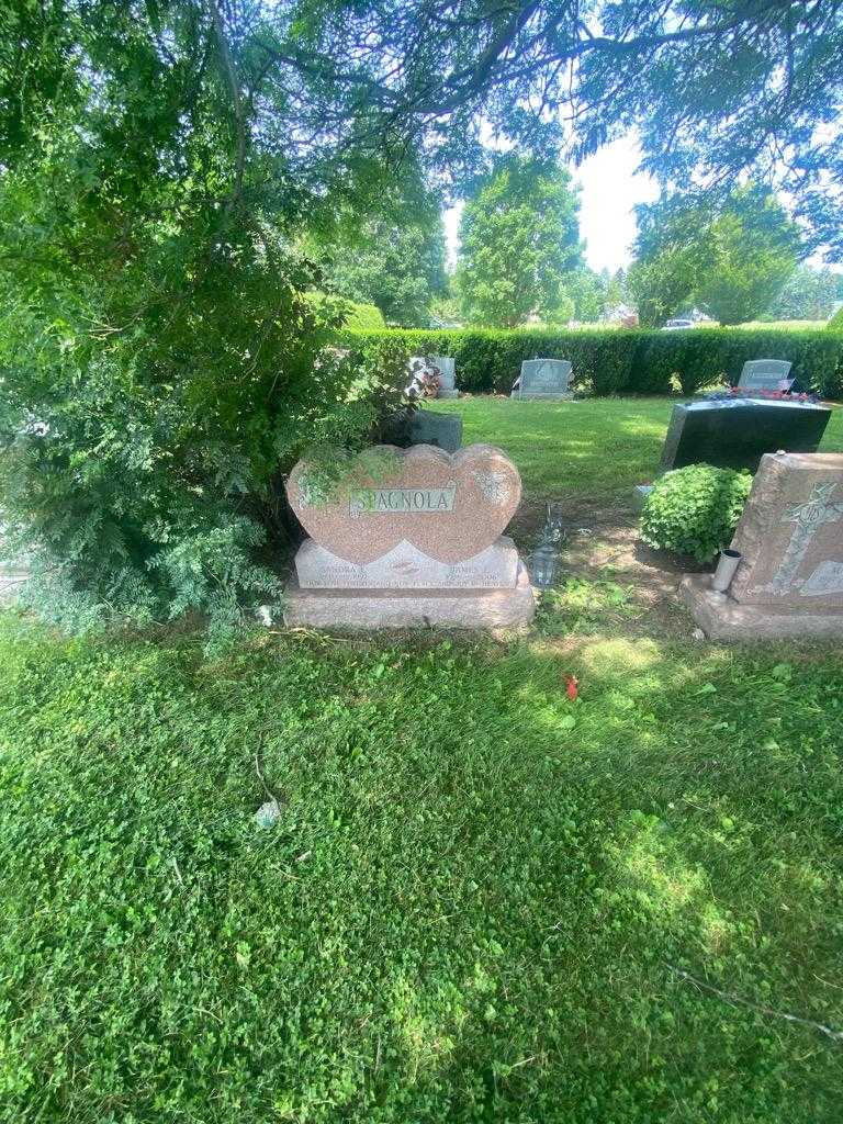 Sandra L. Spagnola's grave. Photo 1