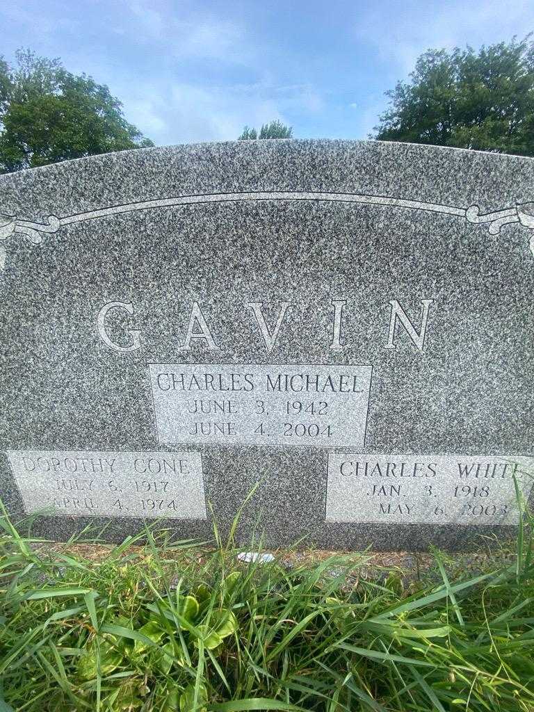 Charles Michael White Gavin's grave. Photo 3