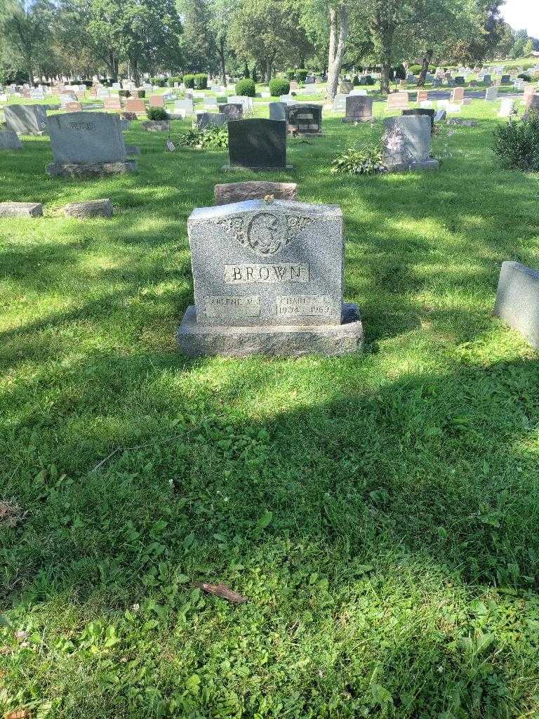 Charles F. Brown's grave. Photo 1