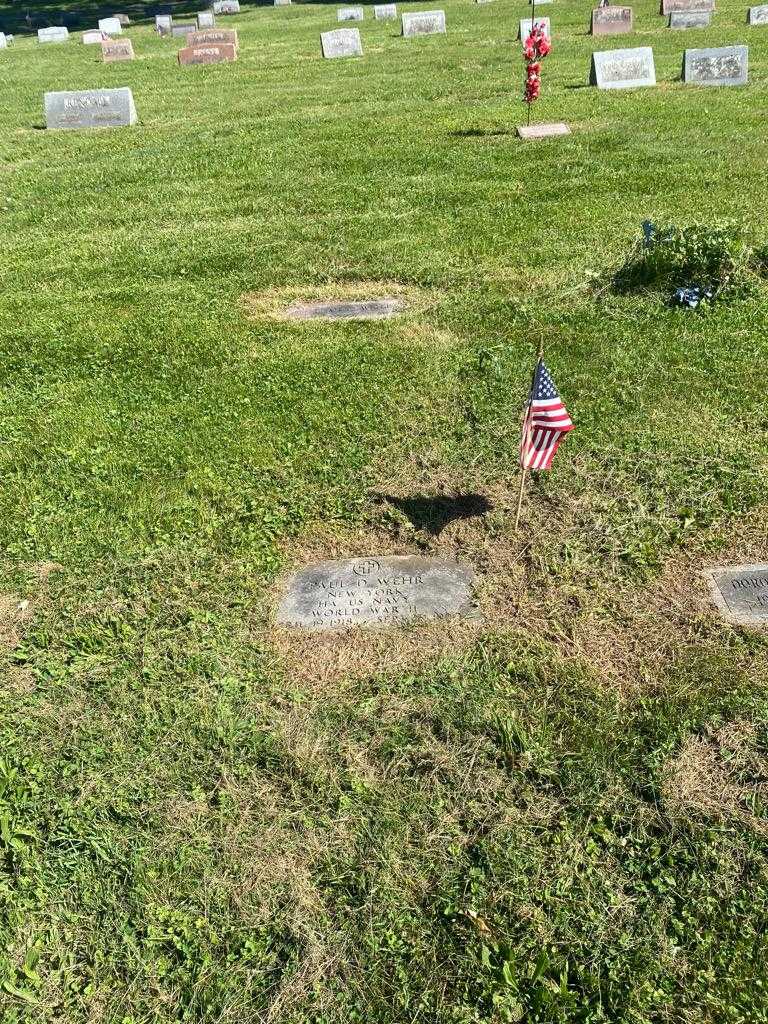 Paul D. Wehr's grave. Photo 2