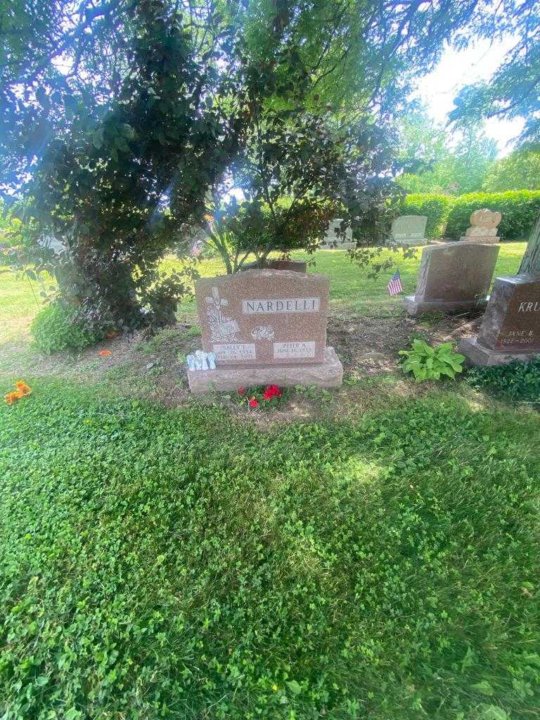 Peter A. Nardelli's grave. Photo 2