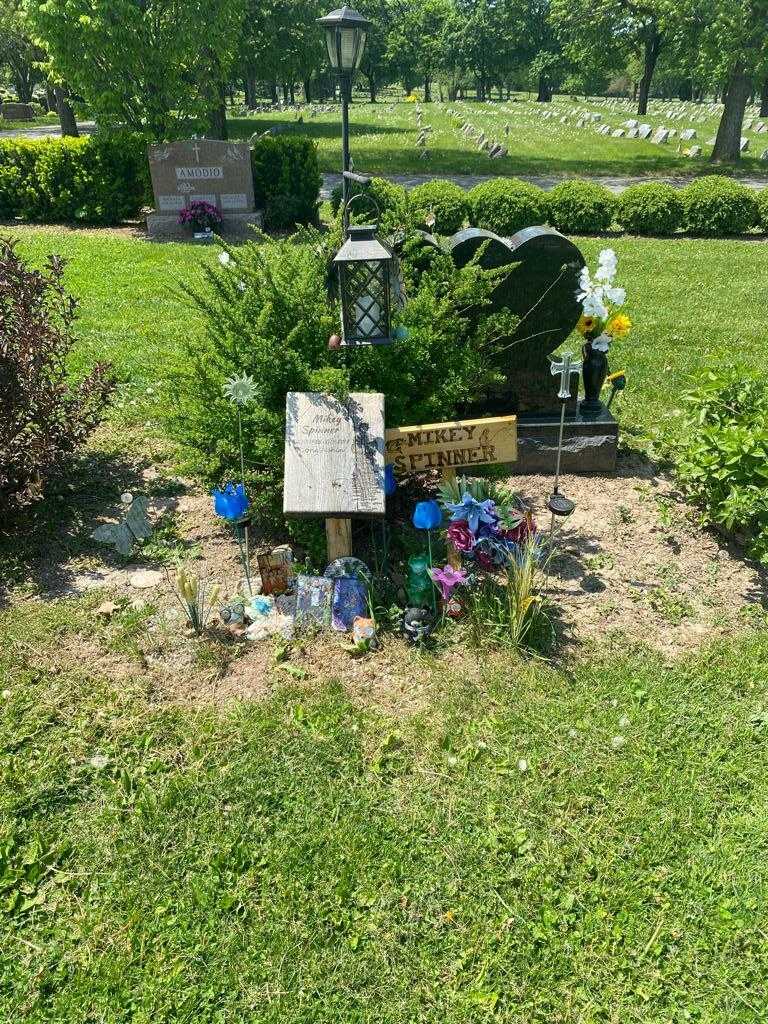 Michael Spinner's grave. Photo 3