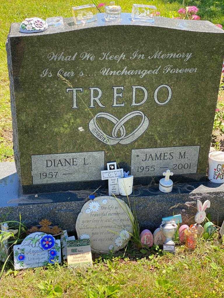 James M. Tredo's grave. Photo 3