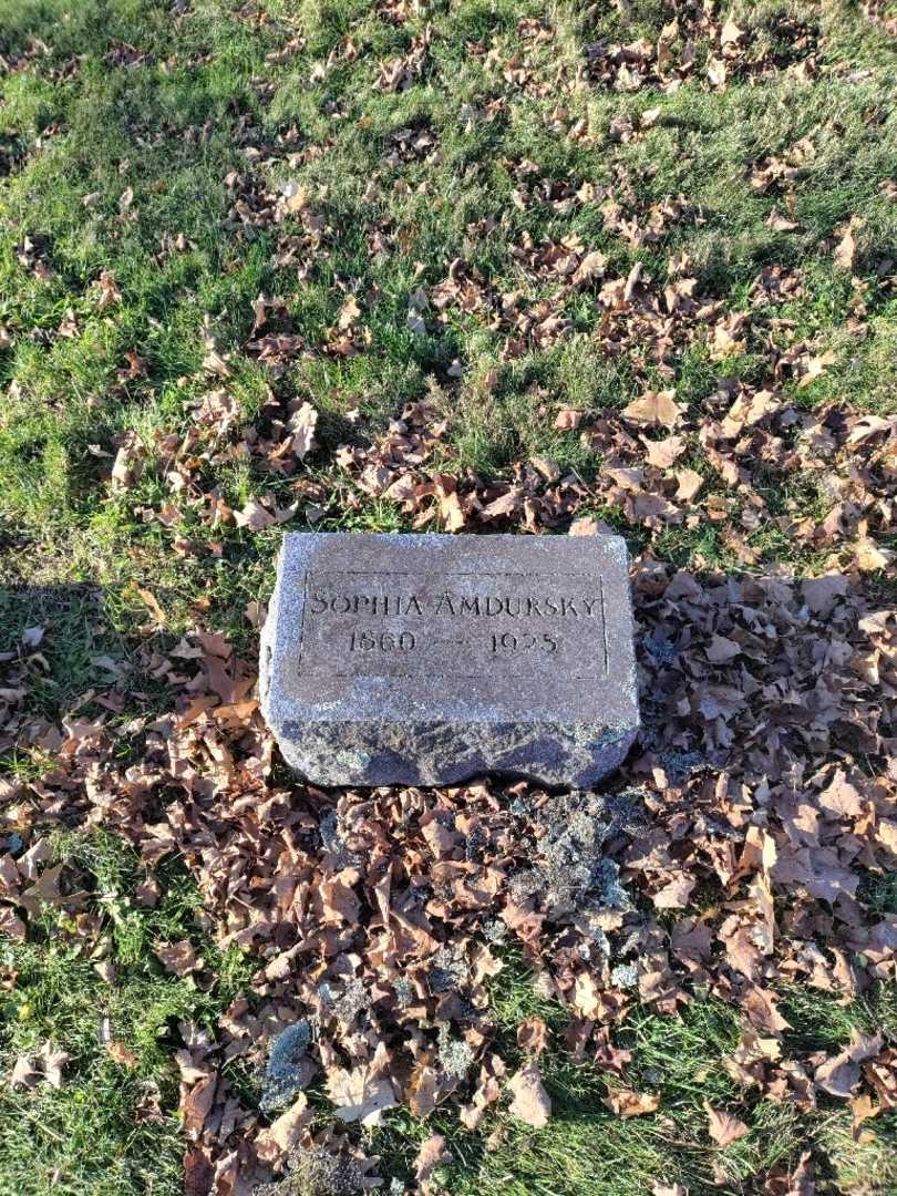Sophia Amdursky's grave. Photo 2