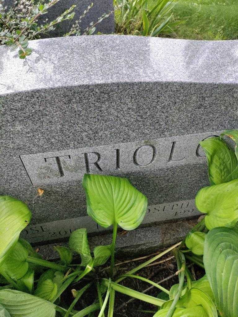 Joseph Triolo's grave. Photo 3