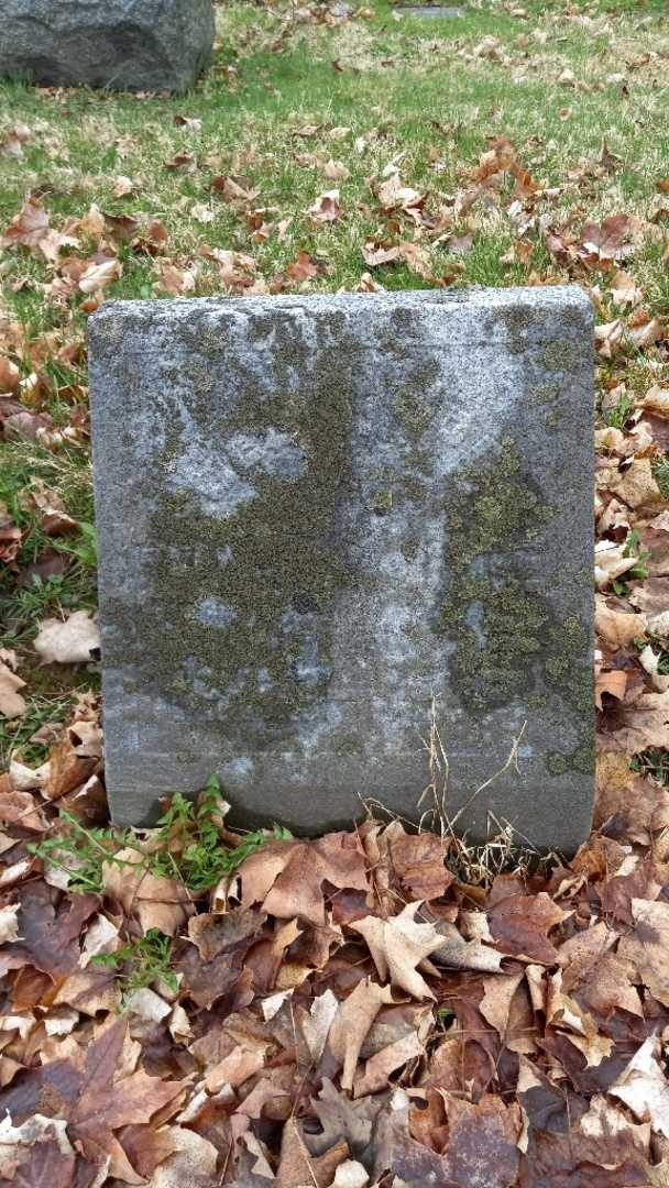 Frances Sophia Spencer's grave. Photo 3