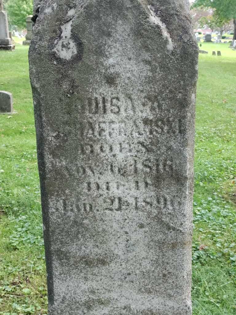 Louisa M. Schaffranski's grave. Photo 3