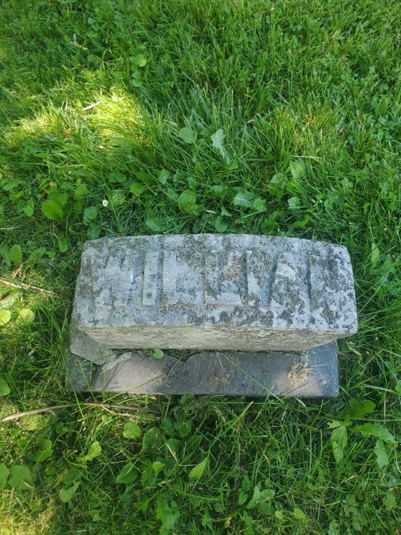 William Ribel Junior's grave. Photo 5