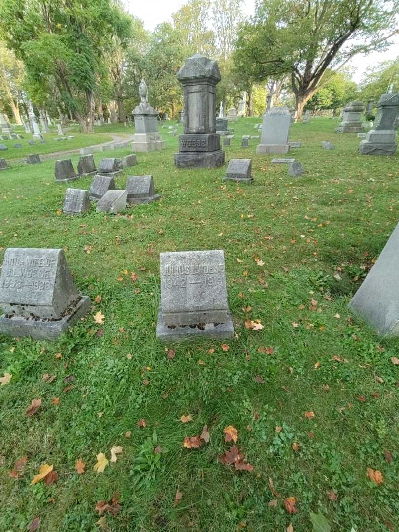 Julius L. Woese's grave. Photo 1