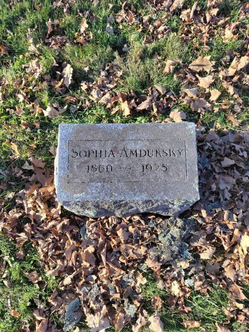 Sophia Amdursky's grave. Photo 3