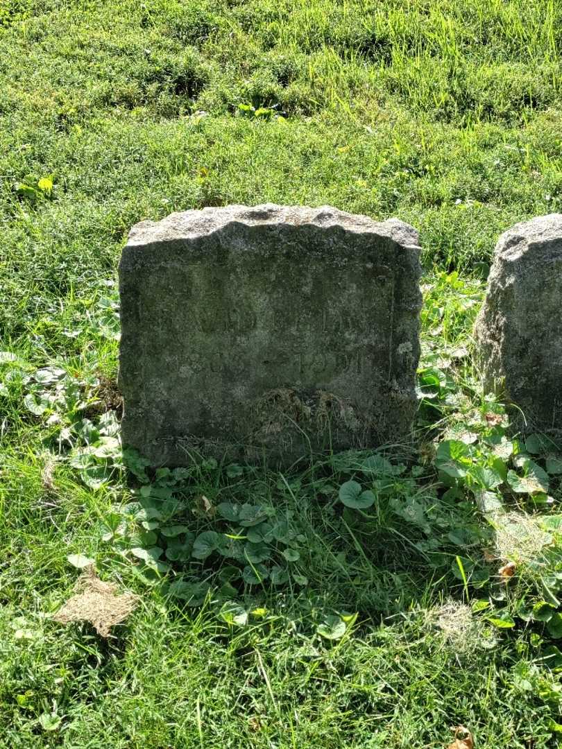 David Petry's grave. Photo 2