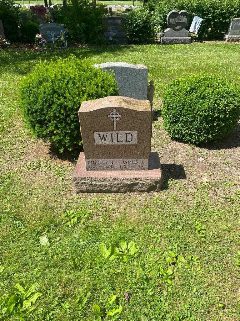 James J. Wild's grave. Photo 2