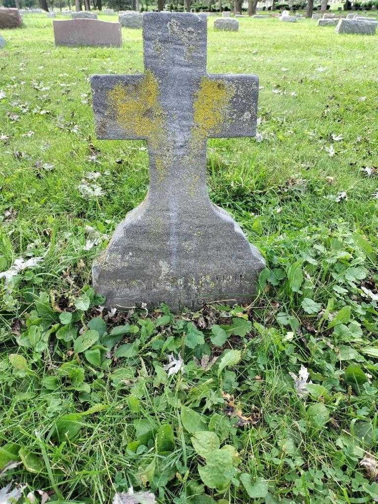 Wasyle Polishuk's grave. Photo 2