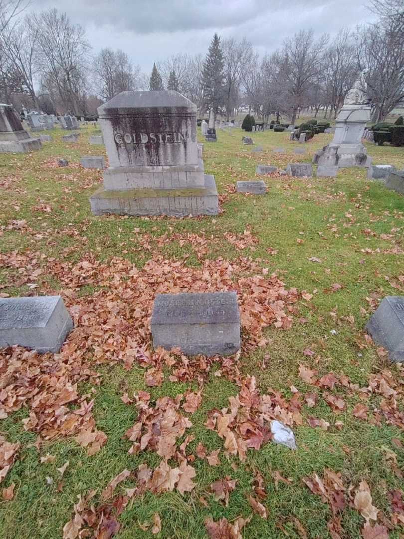 Moses A. Goldstein's grave. Photo 1