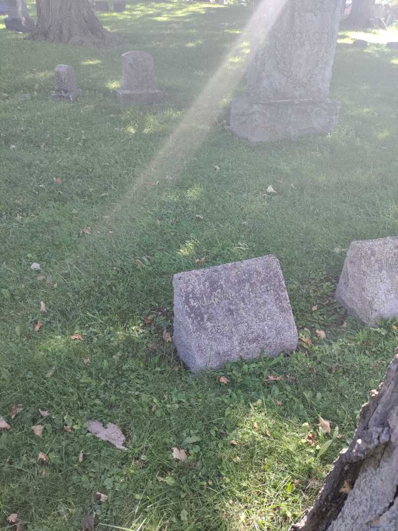 Ludwig Trage's grave. Photo 1