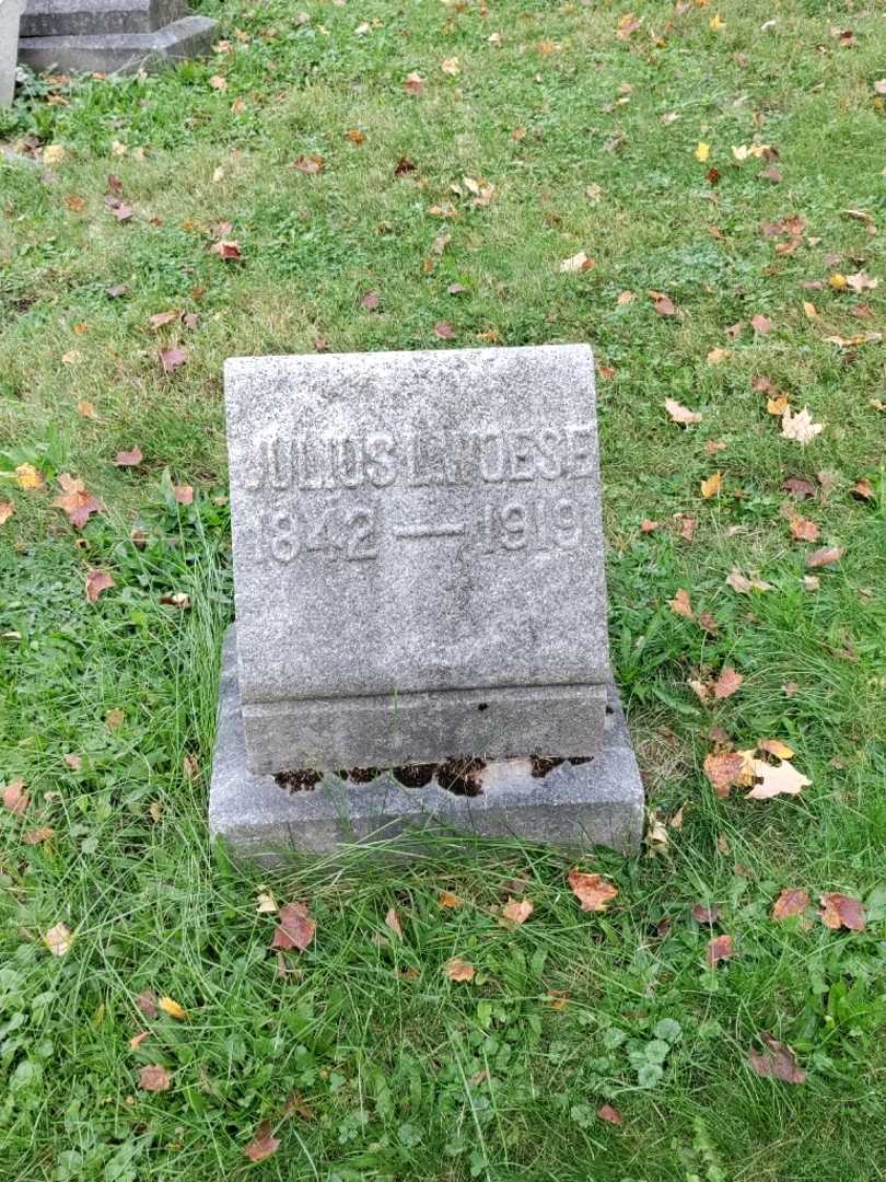 Julius L. Woese's grave. Photo 2