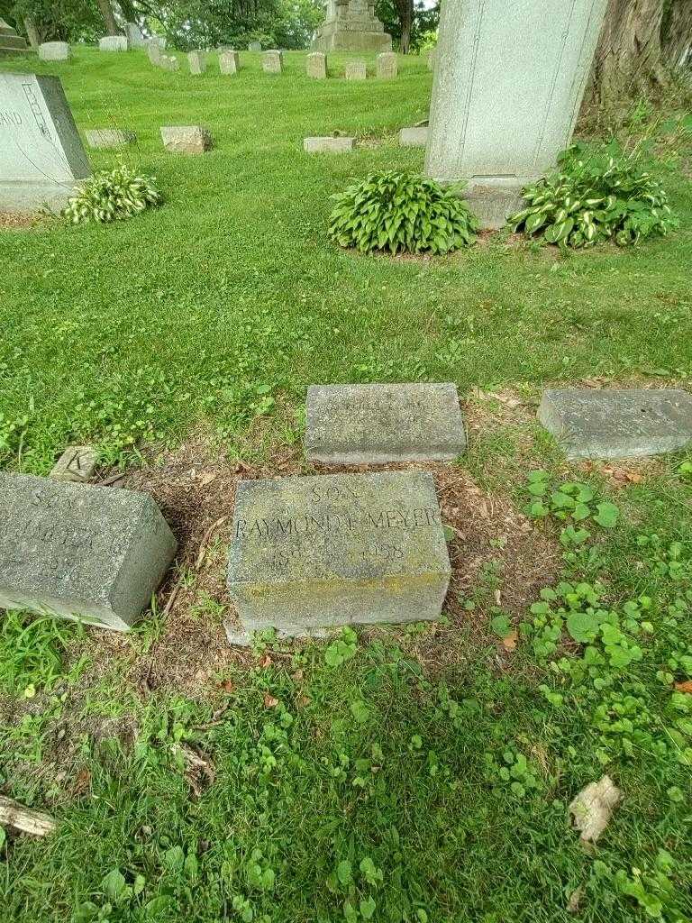 Raymond F. Meyer's grave. Photo 1