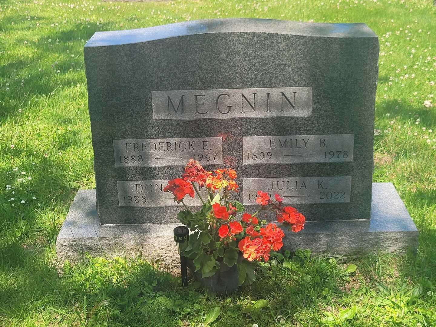 Julia K. Megnin's grave. Photo 2