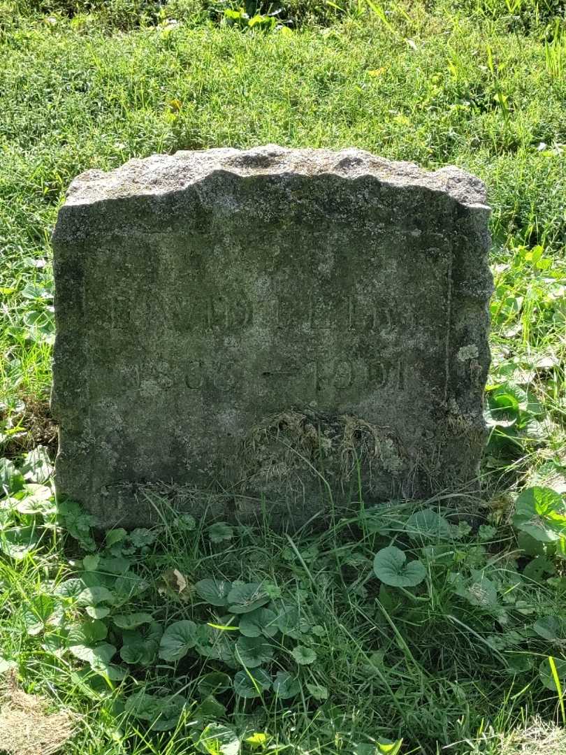 David Petry's grave. Photo 3