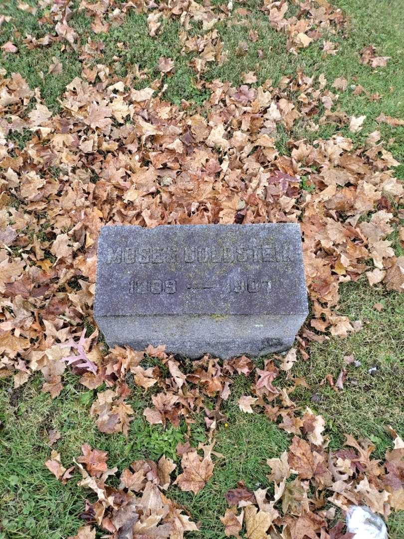 Moses A. Goldstein's grave. Photo 2