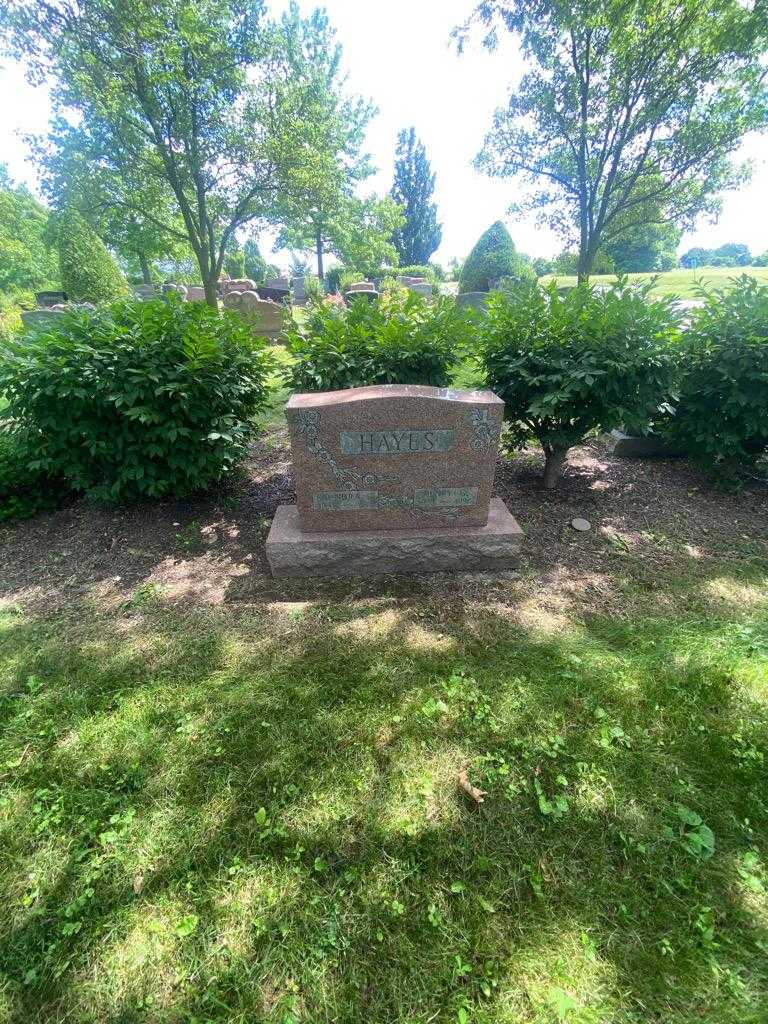 Henry G. Hayes's grave. Photo 1