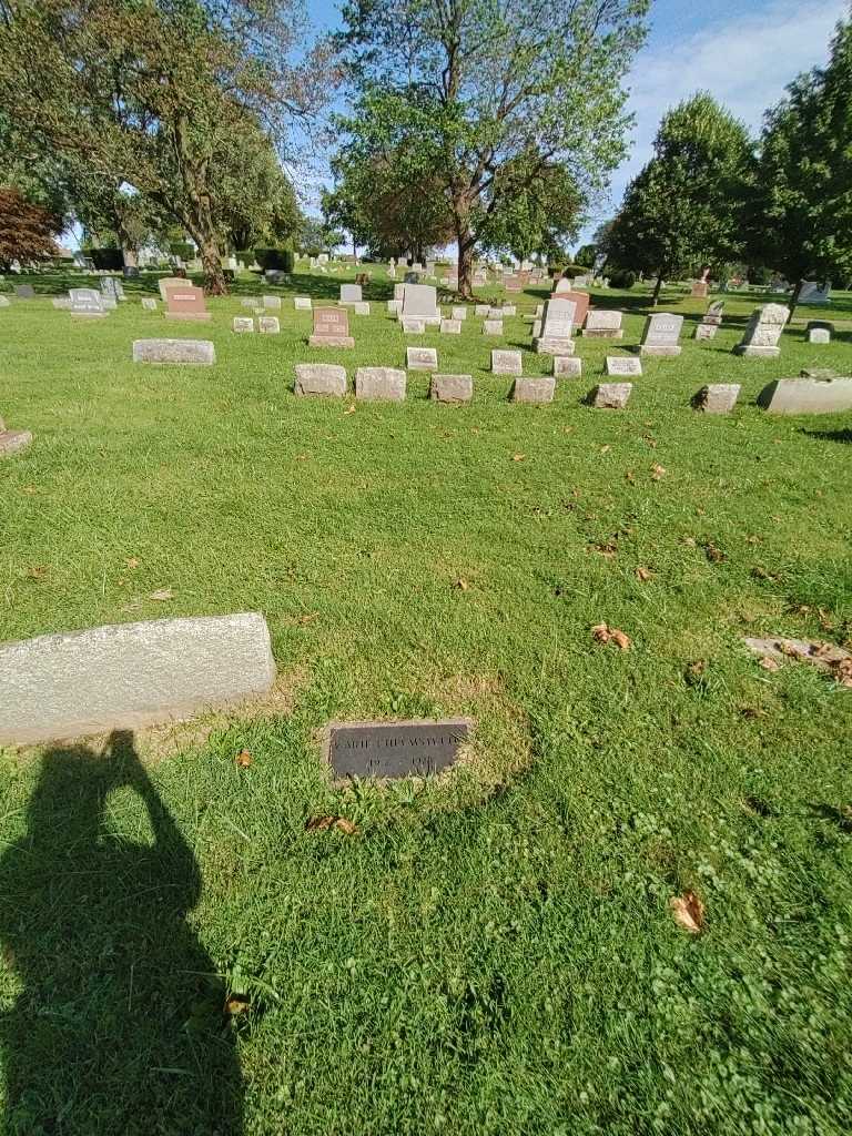 Marie Inez Helmstetter's grave. Photo 1