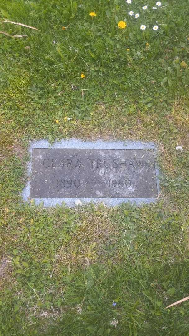 Clara Trushaw's grave. Photo 3