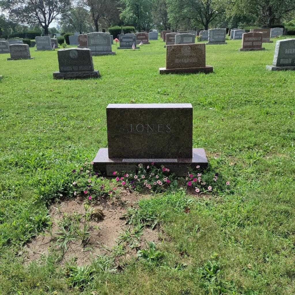 Nancy I. Smith Leeman's grave. Photo 4