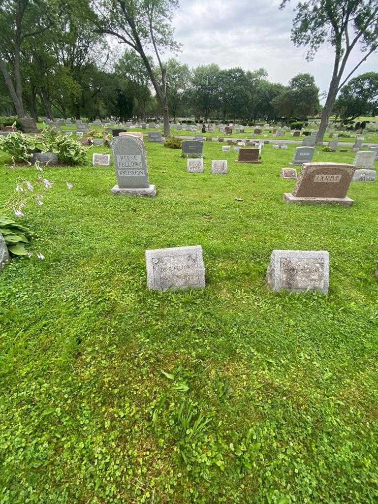 Ada R. Fellows's grave. Photo 1