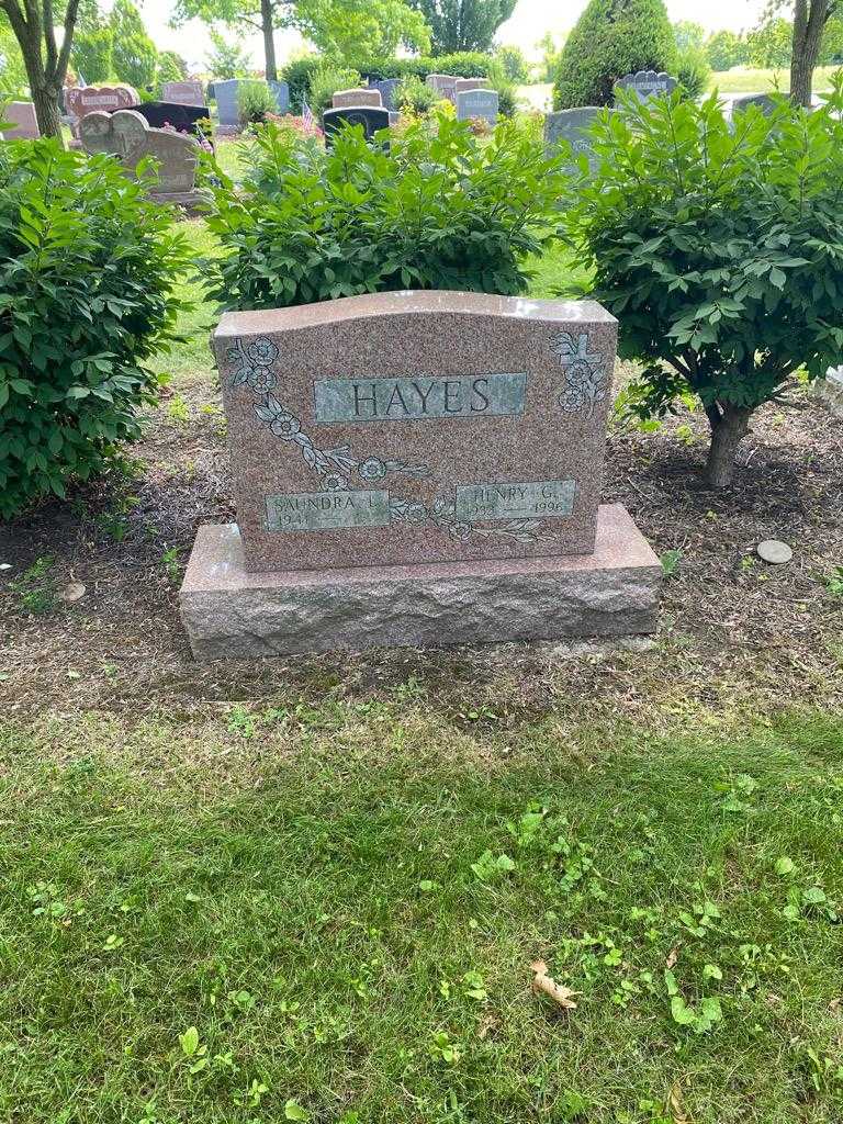 Henry G. Hayes's grave. Photo 2