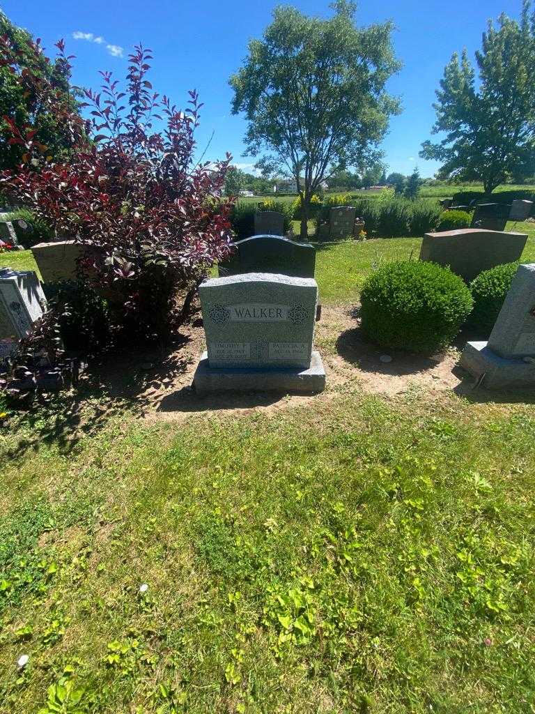 Timothy P. Walker's grave. Photo 1