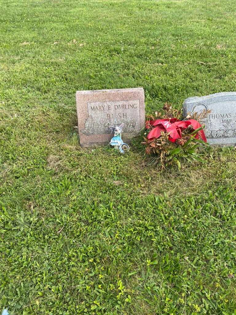 Mary E. Darling Bush's grave. Photo 1