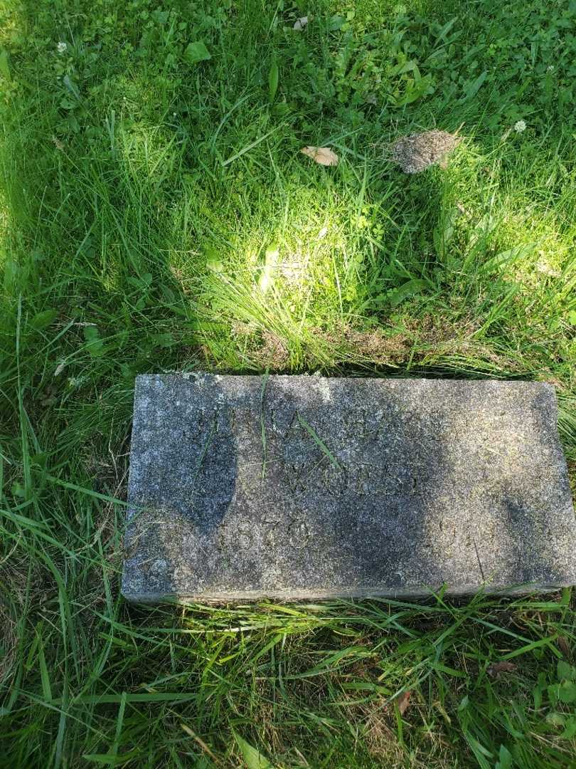 Julia Woese Haberle's grave. Photo 3