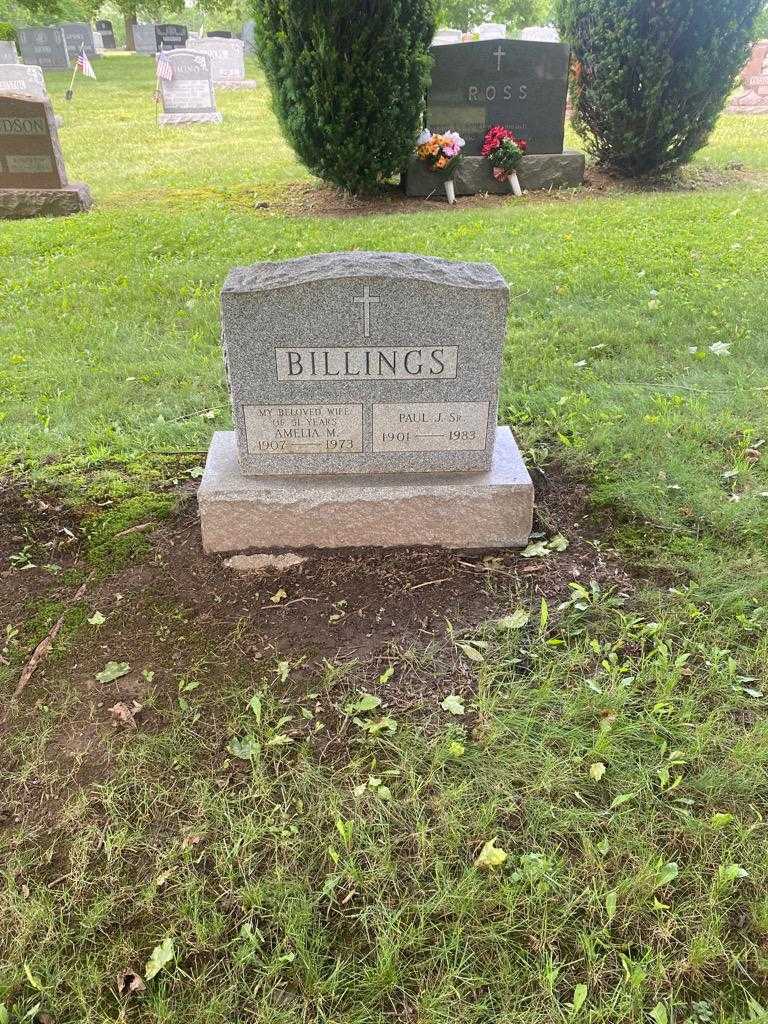 Paul J. Billings Senior's grave. Photo 3