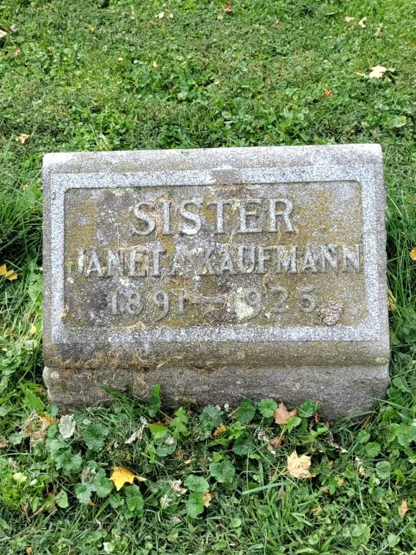 Janeta Kaufmann's grave. Photo 3