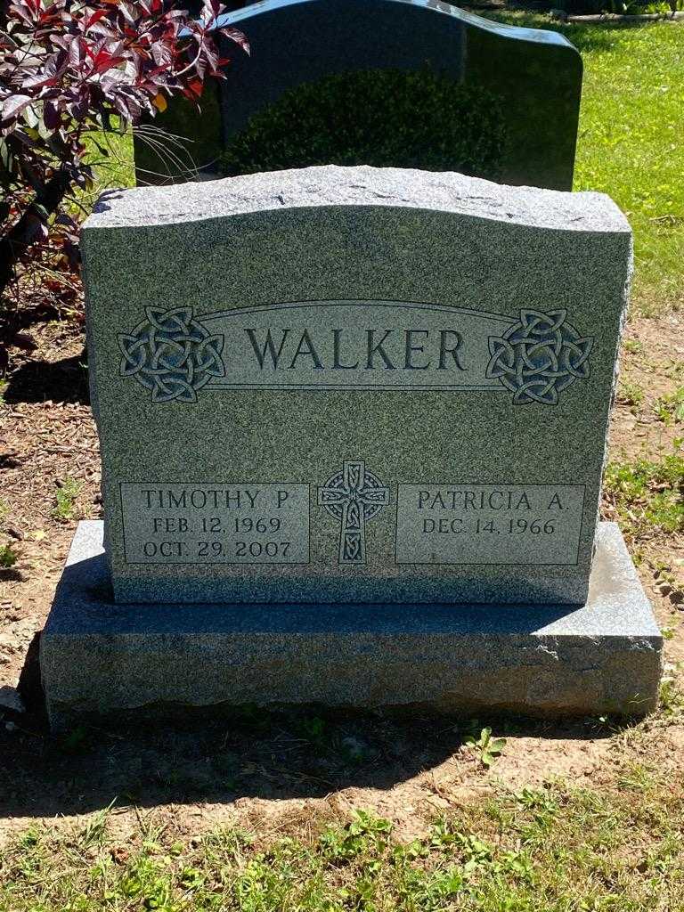 Timothy P. Walker's grave. Photo 1