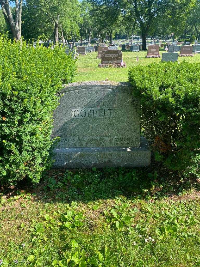 Charles Goppelt's grave. Photo 2