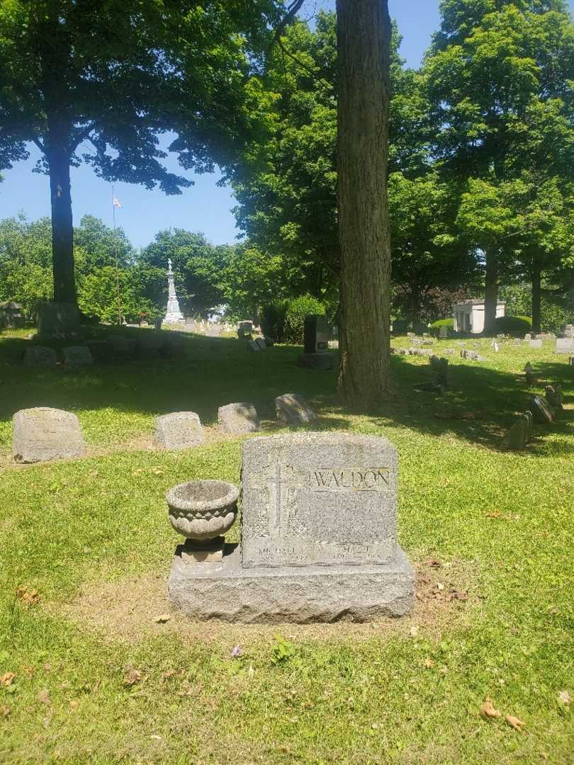 Michael C. Waldon's grave. Photo 1